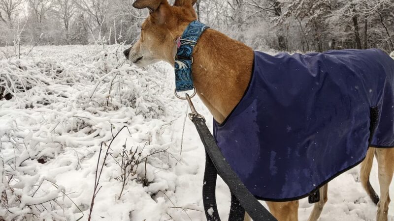 Fabick Nature Preserve - Fenton, MO