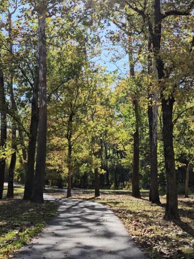 Fenton City Park - Fenton, MO