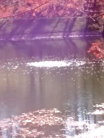 Westside Park - Fenton, MO