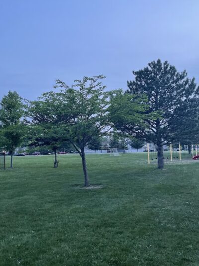Ferndale Dog Park (Membership Required) - Ferndale, MI