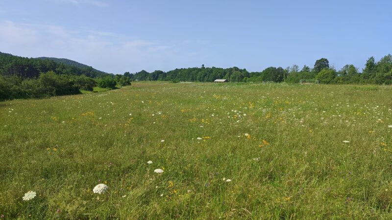 Morse Park - Ferrisburgh, VT