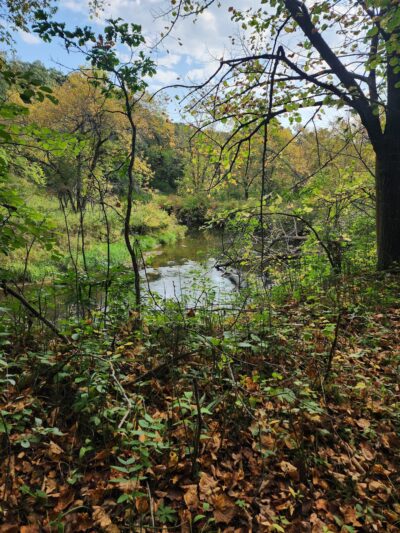 Sand Hill Recreation Area - Fertile, MN