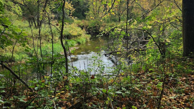 Sand Hill Recreation Area - Fertile, MN
