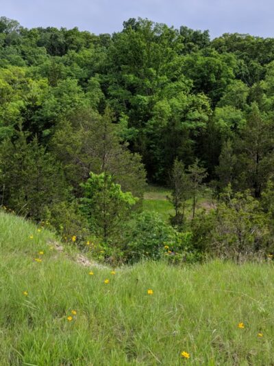 Ludwig Nature Area - Festus, MO