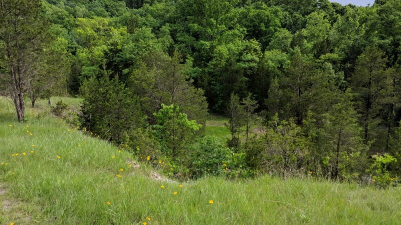 Ludwig Nature Area - Festus, MO