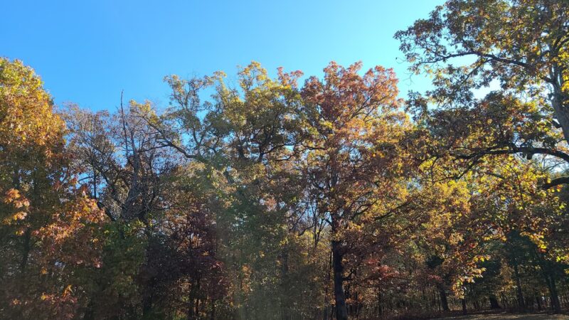 Ludwig Nature Area - Festus, MO