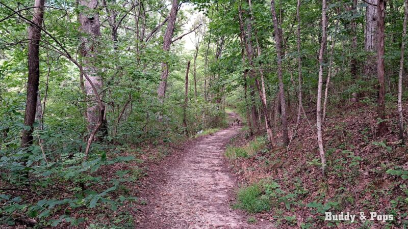 Ludwig Nature Area - Festus, MO