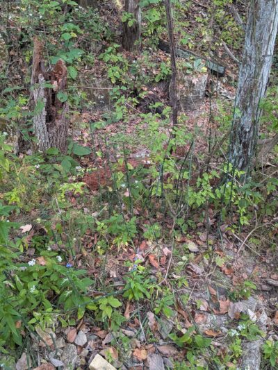 Ludwig Nature Area - Festus, MO