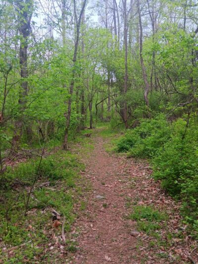 Fieldale Park - Fieldale, VA