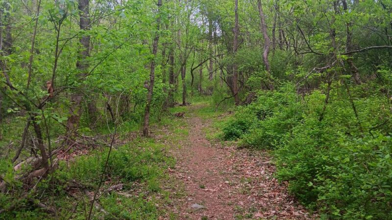 Fieldale Park - Fieldale, VA