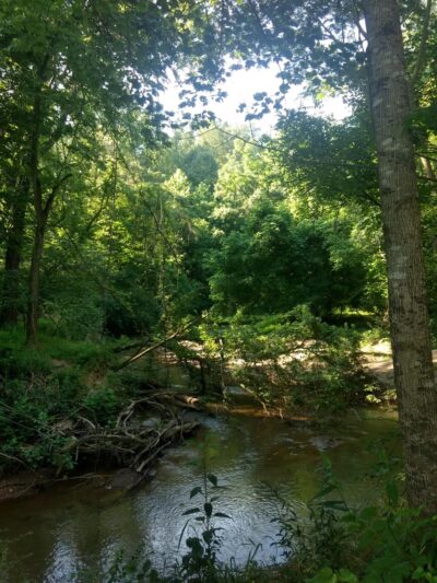 Fieldale Park - Fieldale, VA