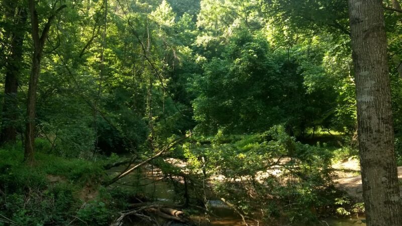 Fieldale Park - Fieldale, VA
