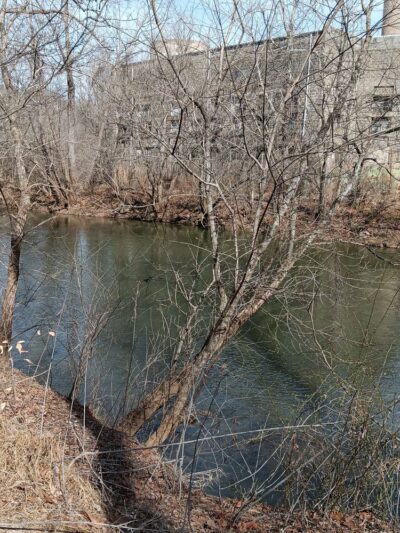 Fieldale Park Trail Head - Fieldale, VA