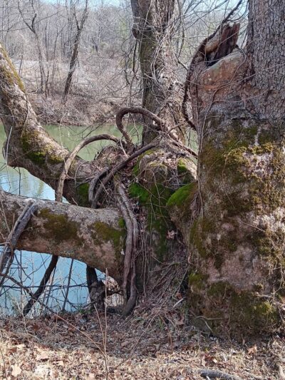 Fieldale Park Trail Head - Fieldale, VA