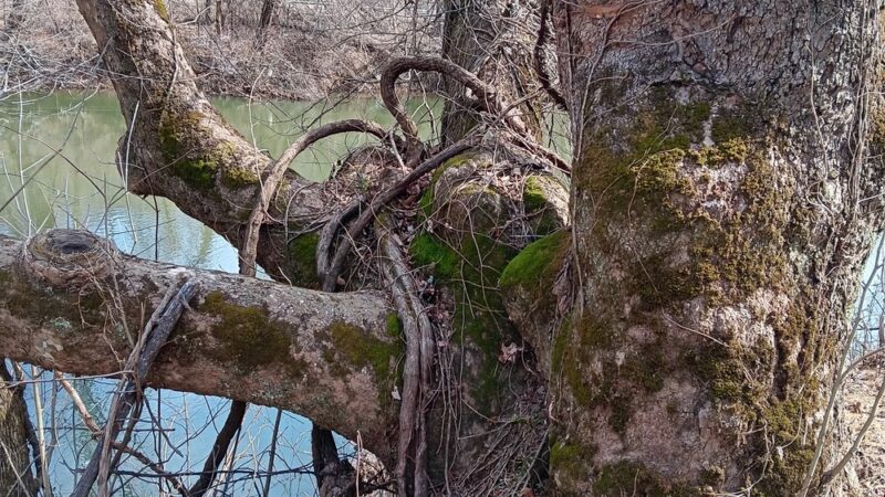 Fieldale Park Trail Head - Fieldale, VA