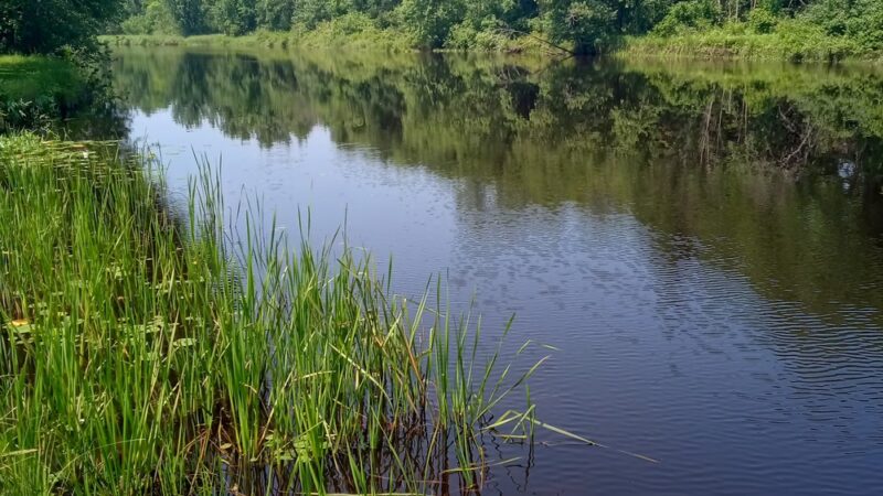 Fifield Memorial park/wayside - Fifield, WI