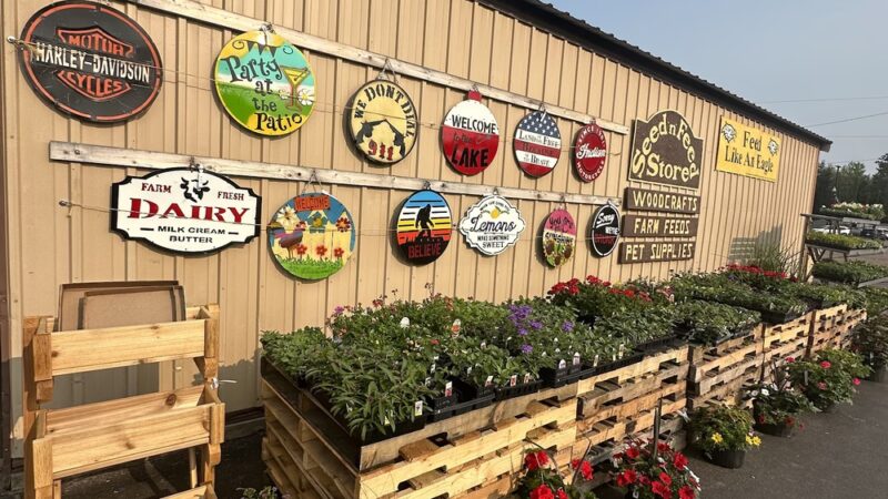 Seed N Feed Store - Fifield, WI
