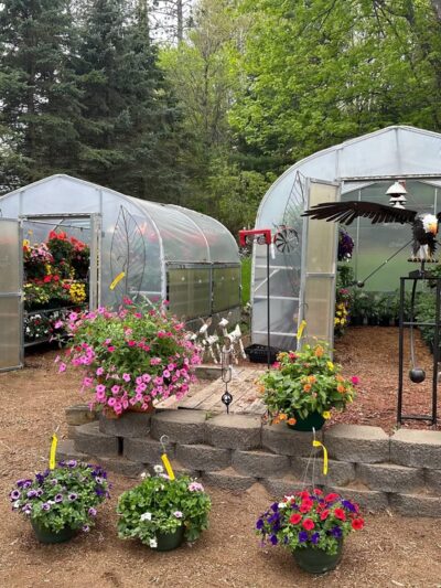 Seed N Feed Store - Fifield, WI