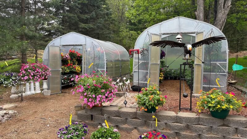 Seed N Feed Store - Fifield, WI