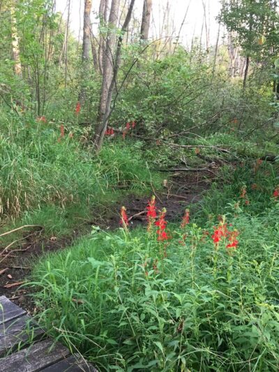 Fish Creek Park - Fish Creek, WI