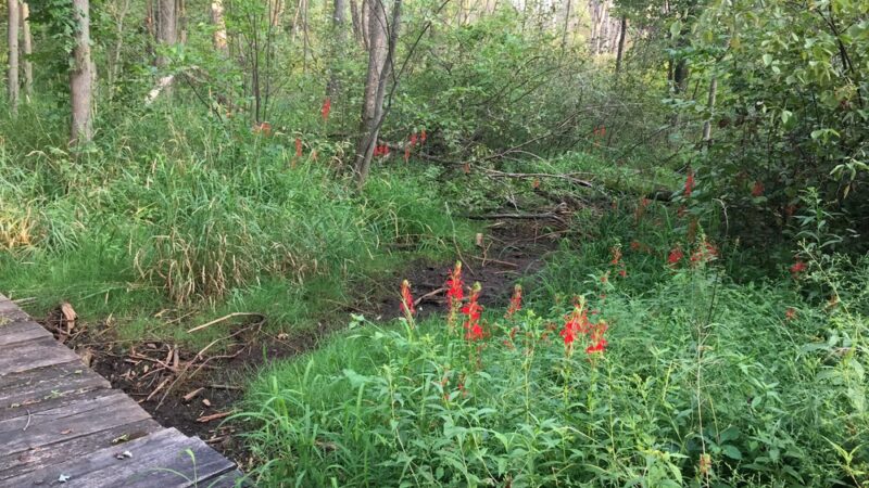 Fish Creek Park - Fish Creek, WI