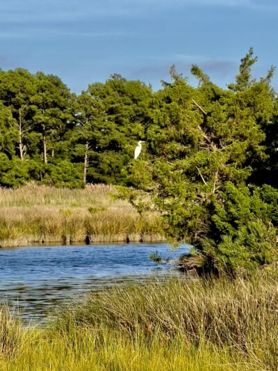Fishing Creek - Fishing Creek, MD