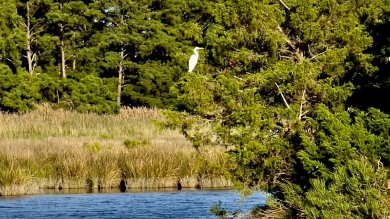 Fishing Creek - Fishing Creek, MD
