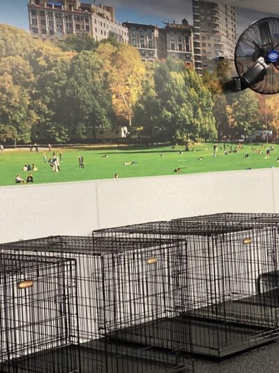 Dogtopia of Fishkill - Fishkill, NY