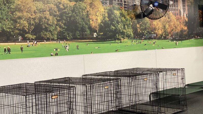 Dogtopia of Fishkill - Fishkill, NY