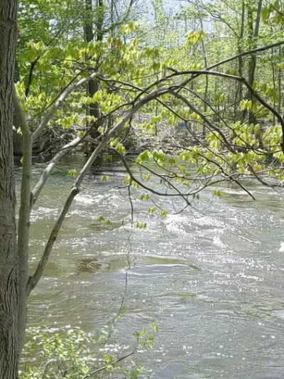 Sarah Taylor Park - Fishkill, NY