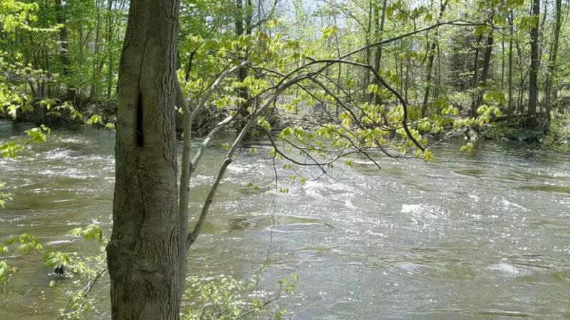 Sarah Taylor Park - Fishkill, NY