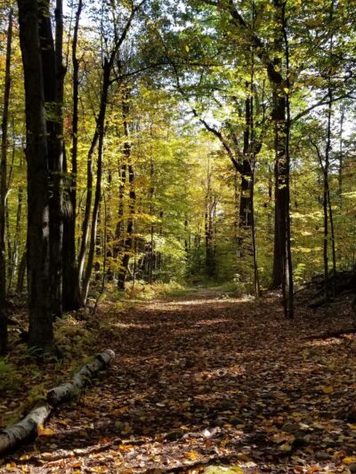 Crocker Conservation Area - Fitchburg, MA