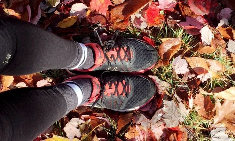 Hunter's State Line Campground-Variety - Fitzwilliam, NH