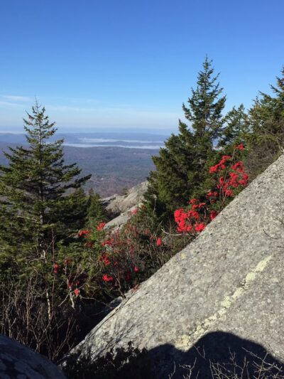 Hunter's State Line Campground-Variety - Fitzwilliam, NH
