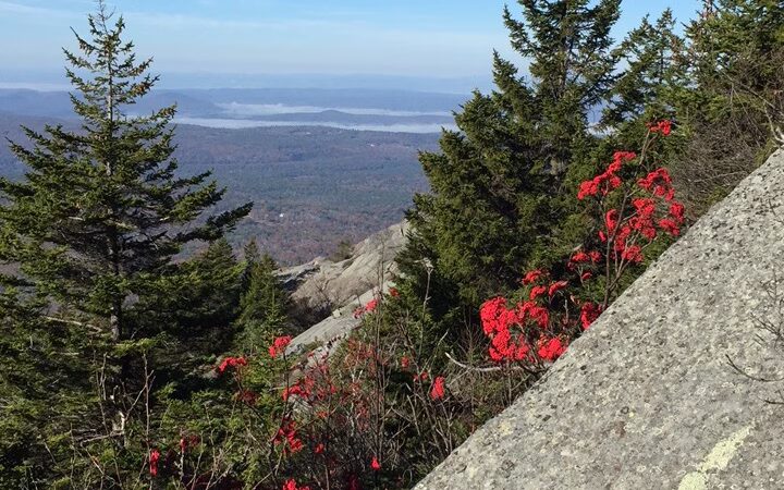 Hunter's State Line Campground-Variety - Fitzwilliam, NH