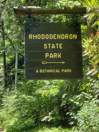 Rhododendron State Park - Fitzwilliam, NH