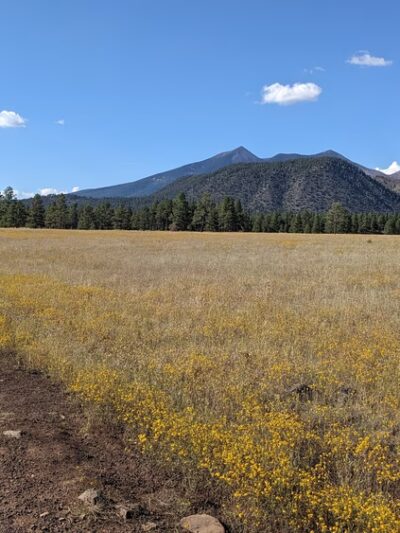 Buffalo Park - Flagstaff, AZ