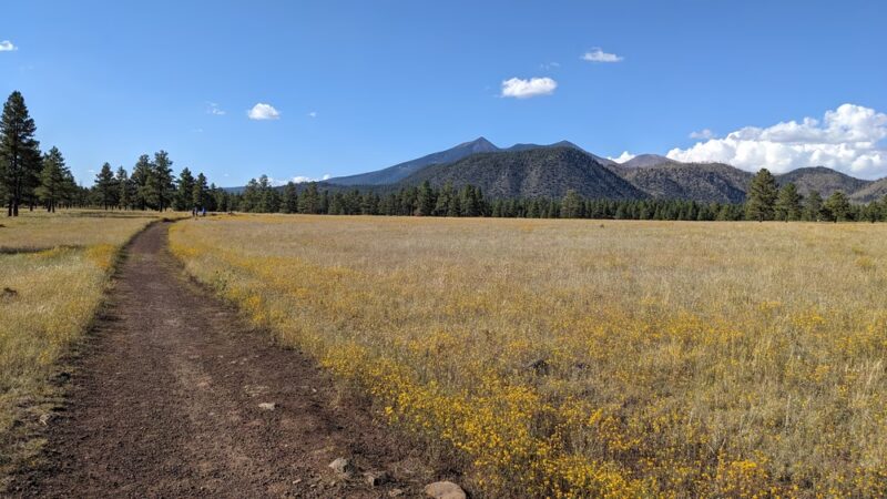 Buffalo Park - Flagstaff, AZ