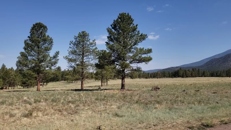 Buffalo Park - Flagstaff, AZ