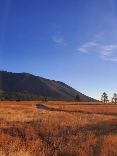 Buffalo Park - Flagstaff, AZ
