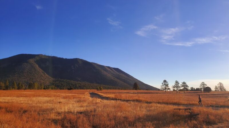 Buffalo Park - Flagstaff, AZ