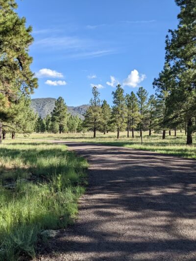 Buffalo Park - Flagstaff, AZ