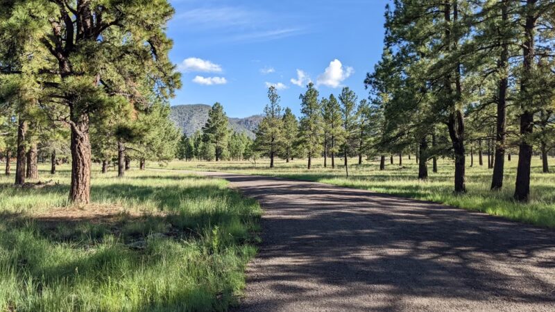 Buffalo Park - Flagstaff, AZ