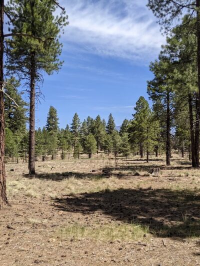 Fort Tuthill County Park - Flagstaff, AZ