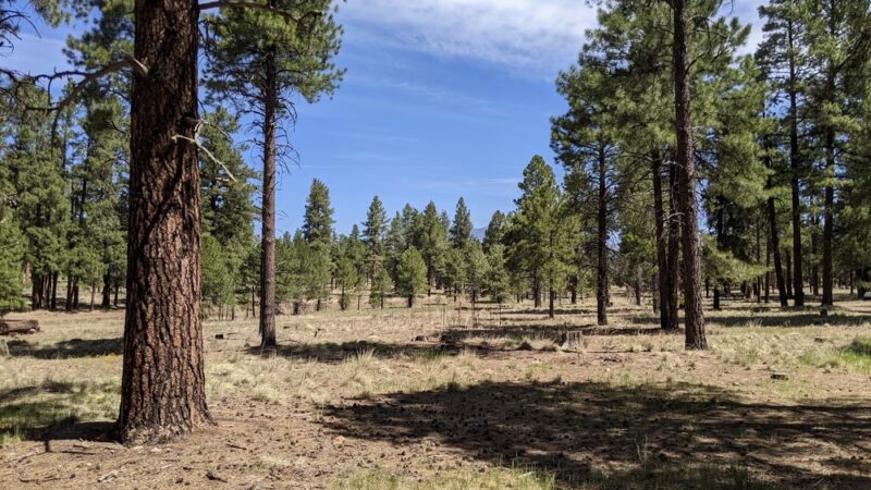 Fort Tuthill County Park - Flagstaff, AZ