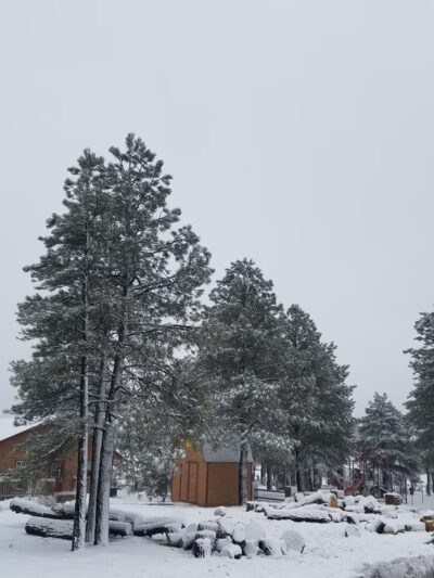 Raymond County Park - Flagstaff, AZ