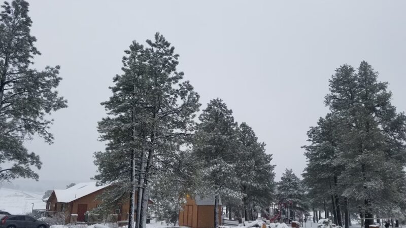Raymond County Park - Flagstaff, AZ
