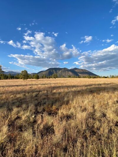 Raymond County Park - Flagstaff, AZ