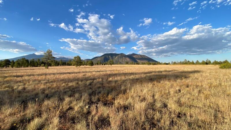 Raymond County Park - Flagstaff, AZ