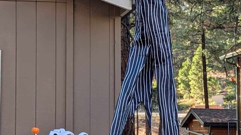 University Highlands Park - Flagstaff, AZ